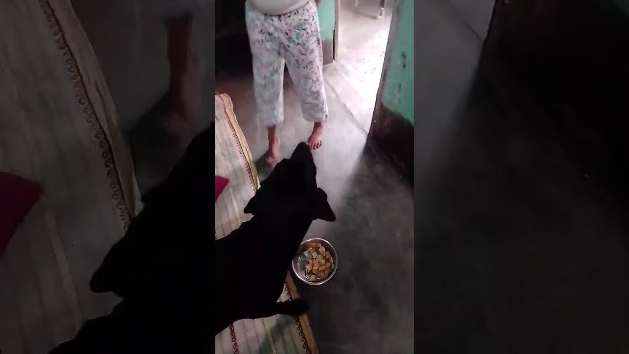 এতটাই দুষ্টু খাবার কথাটা মনে থাকে না। হিংসায় পরে খায়