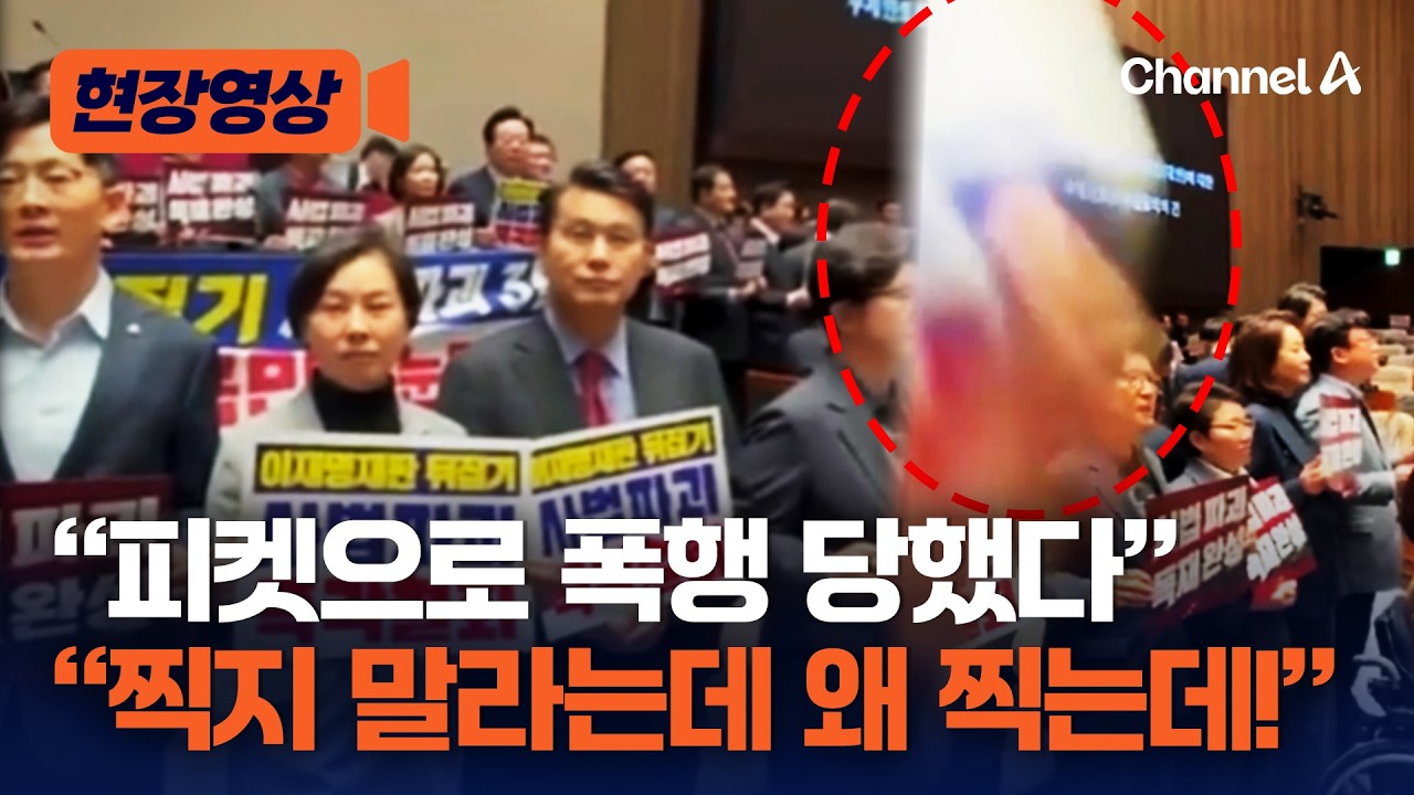 조국당 