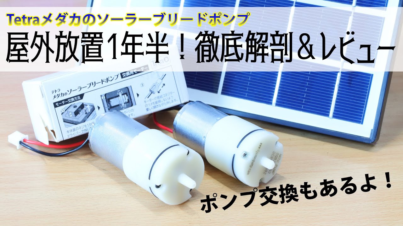 Tetraメダカのソーラーブリードポンプ 過酷な環境で１年半！耐久性を徹底チェック！ポンプ交換もあるよ【アクアリウム】