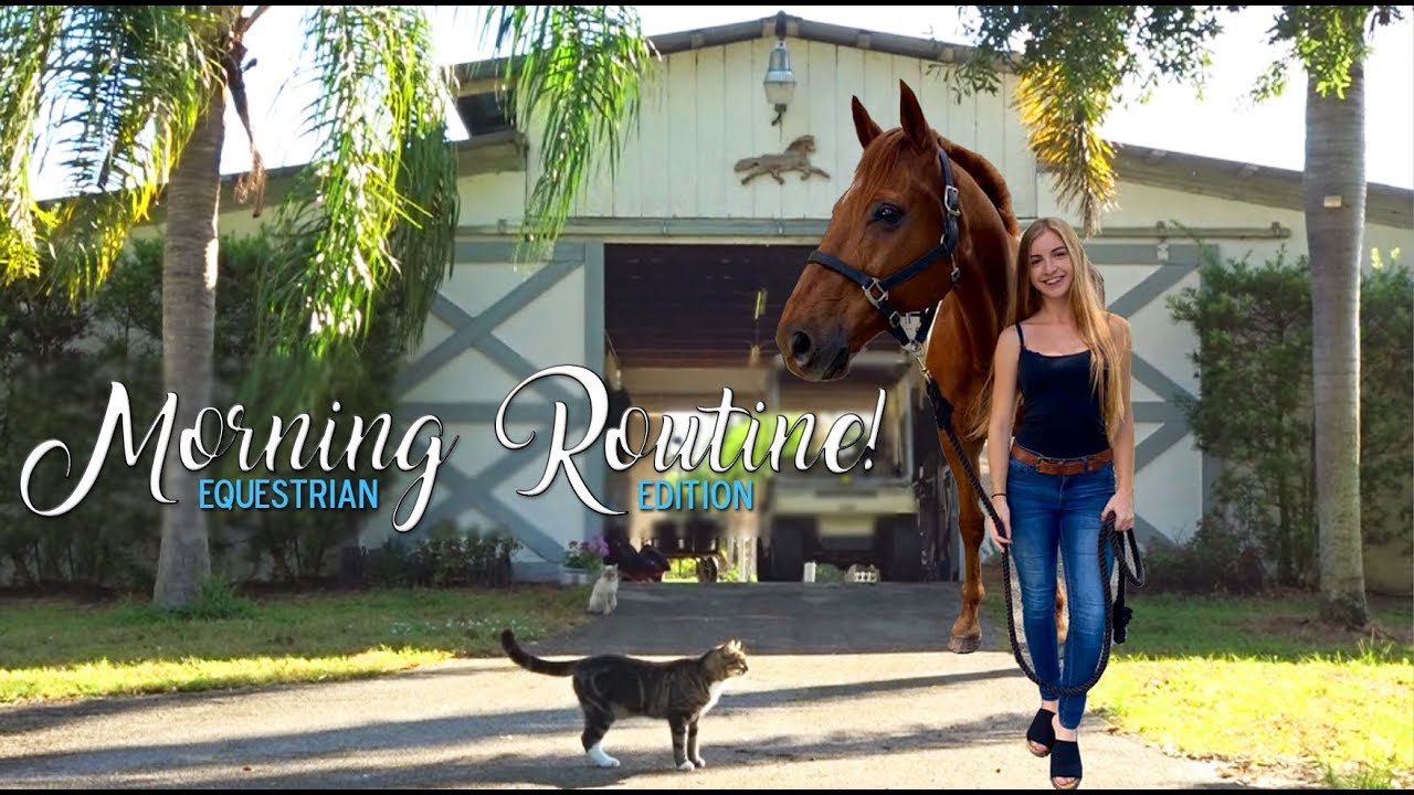 MORNING ROUTINE of an Equestrian!