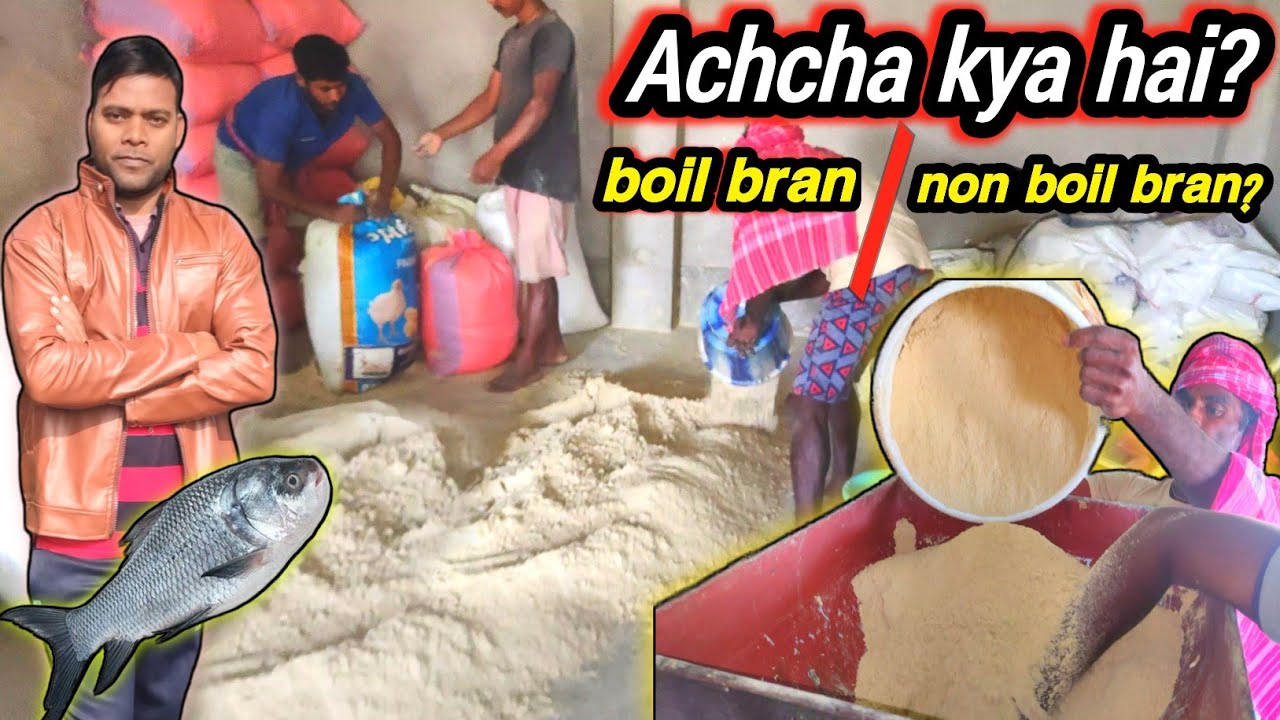 rice polish crashing powder kya hota hai in hindi | boil rice polish and non boil rice polish #bran