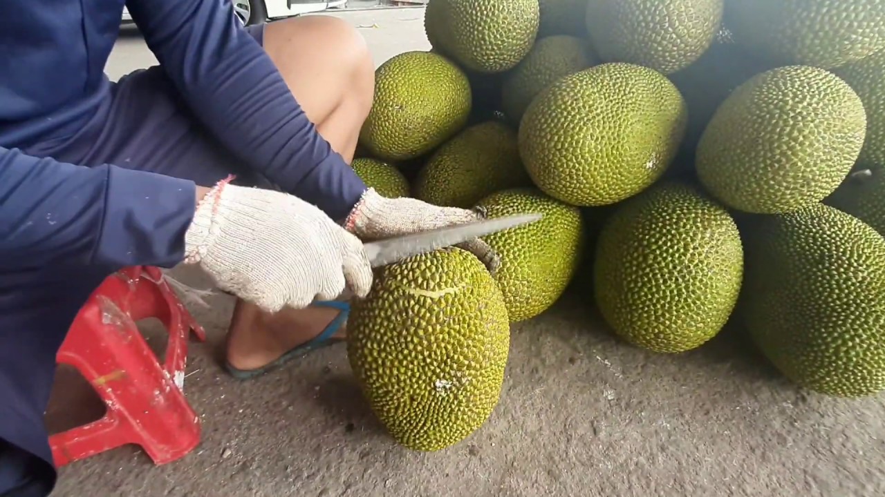 Đột nhập vào vựa mít lớn nhất tại hậu giang xem giá như thế nào? Giá khá bất ngờ tại vựa!