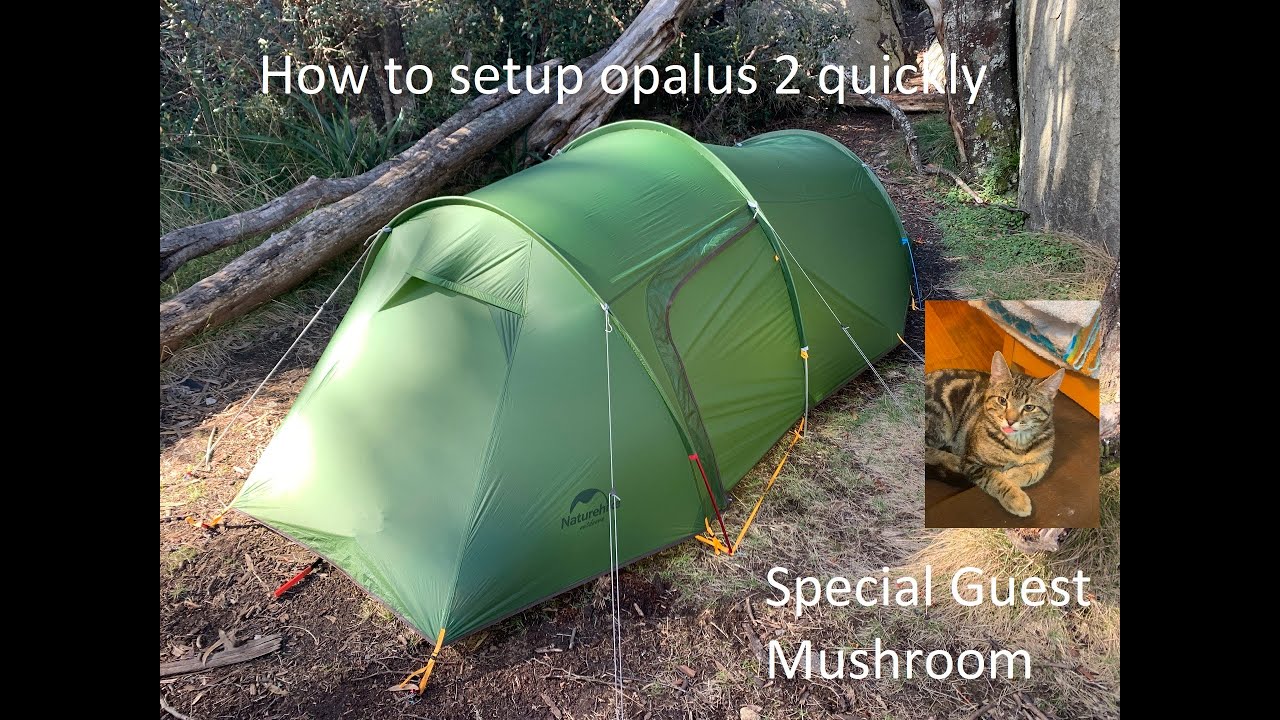 Naturehike Opalus 2 setup and put down