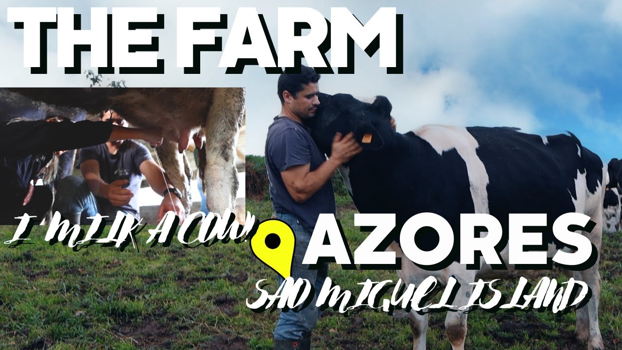 The Farm Sao Miguel Azores - Connecting you with locals making a BIG impact on farming and tourism.