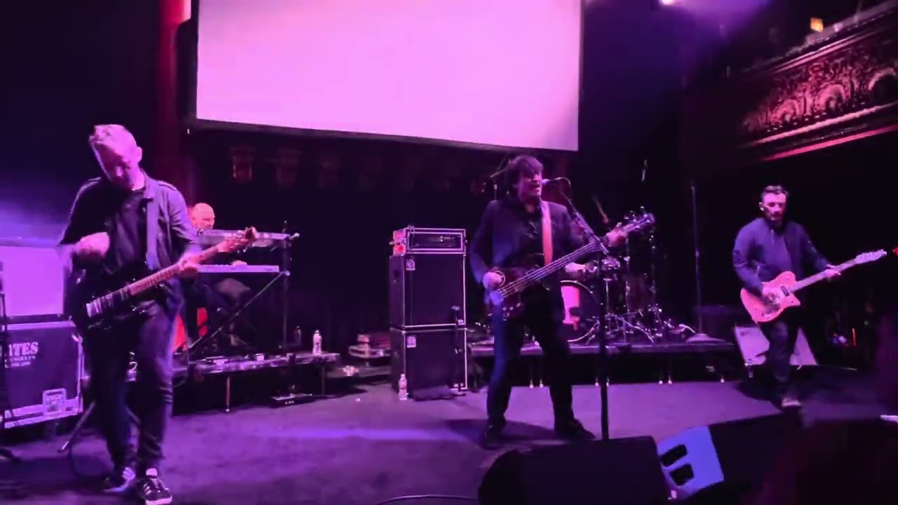 The Chameleons - In Shreds