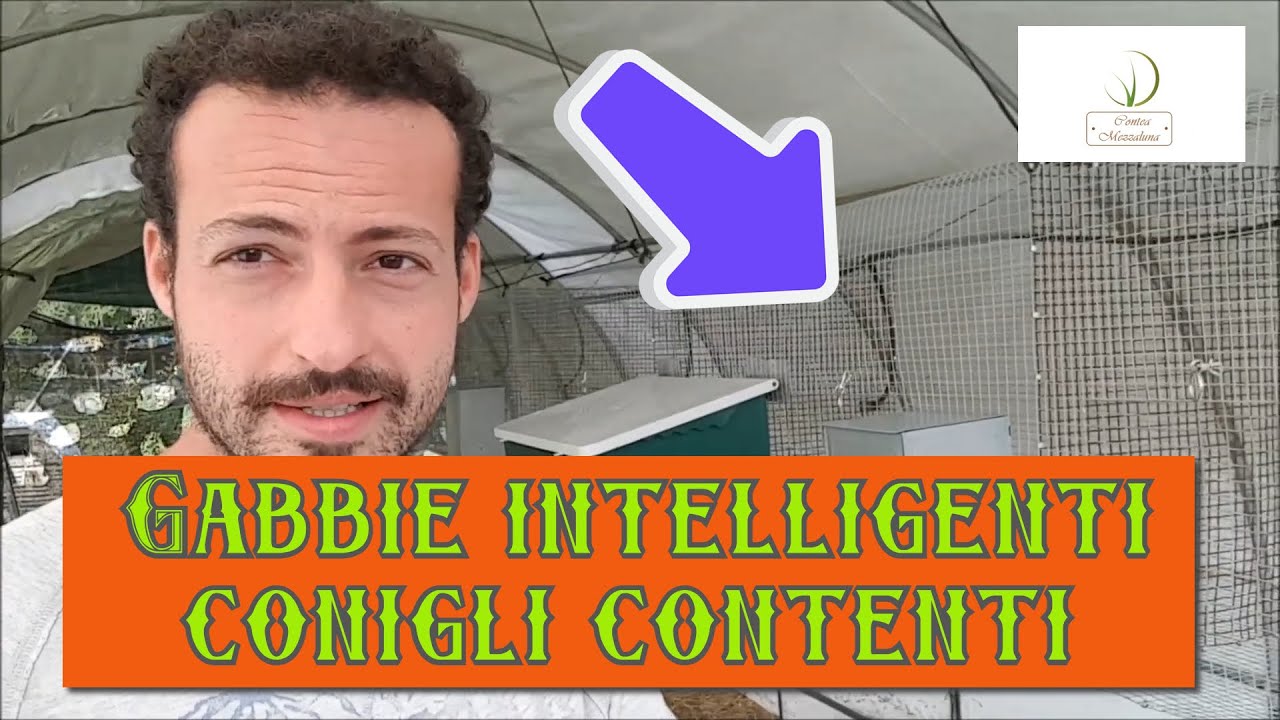 Come costruire gabbie per conigli-seconda parte