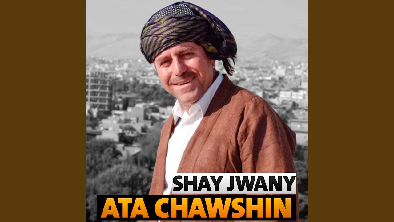 Shay Jwany