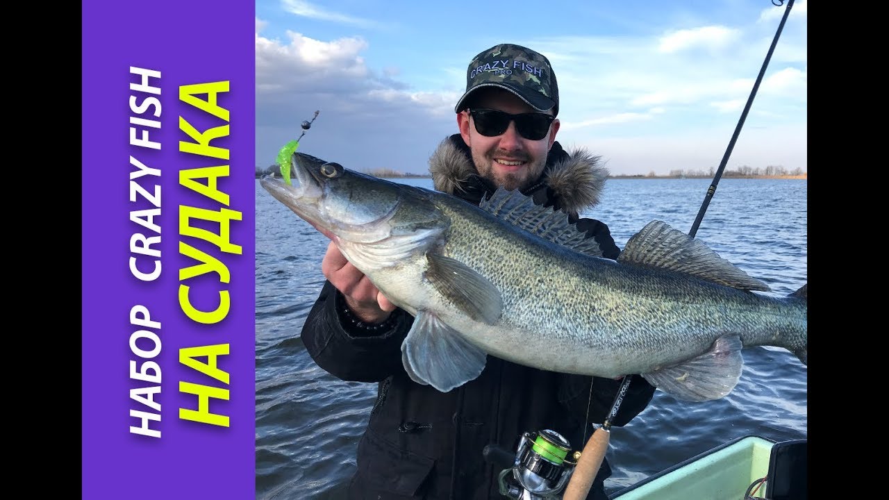 Набор силиконовых приманок Crazy Fish на судака. Выбор Андрея Ведуты