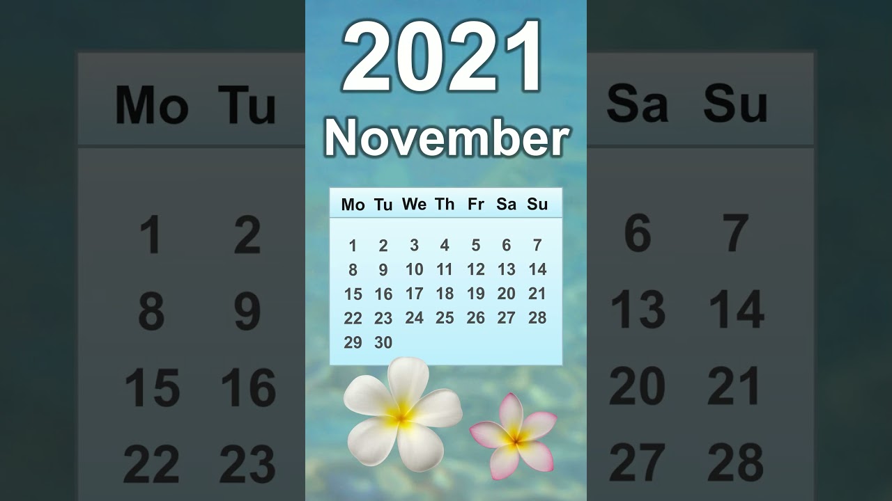 November 2021 Calendar