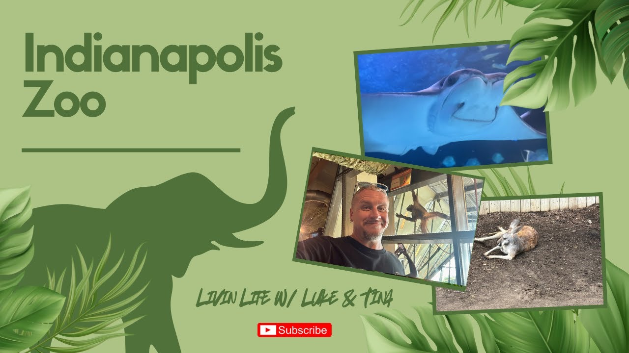 The Indianapolis Zoo is AWESOME! Elephants, Kangaroos & Giraffes! And so much more!