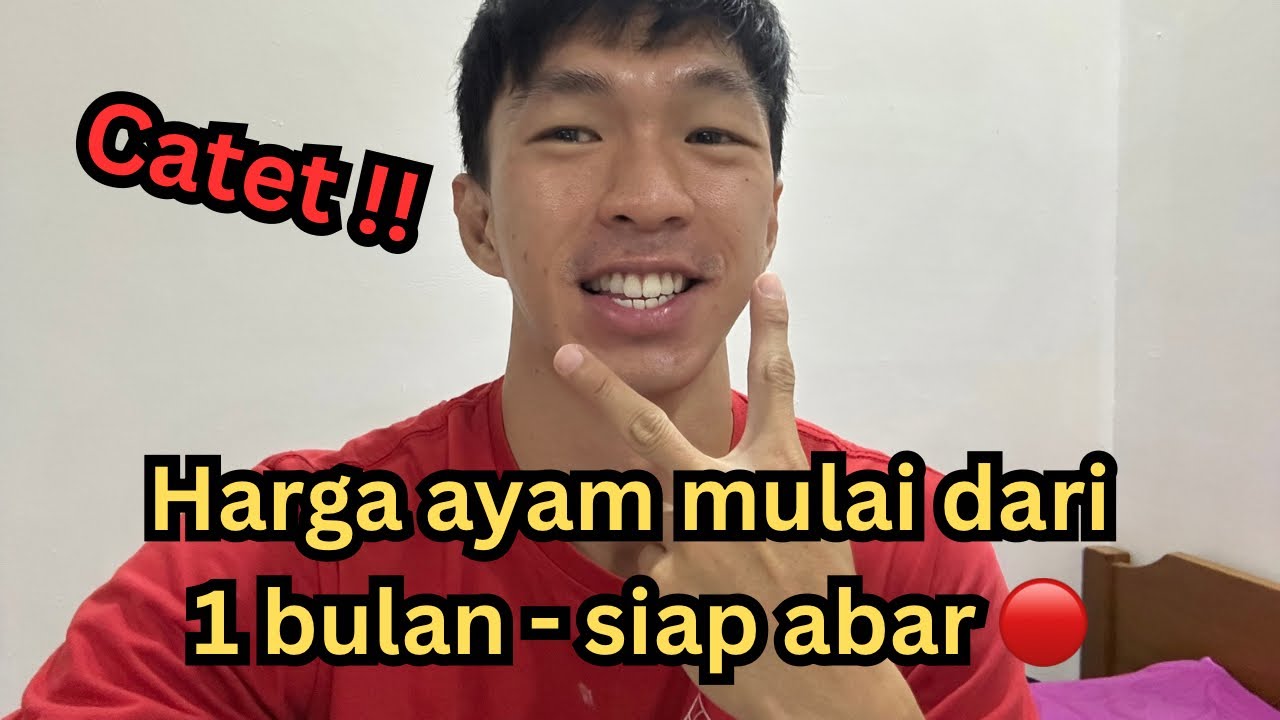 Ini dia harga ayam di Median Rooster 🔴