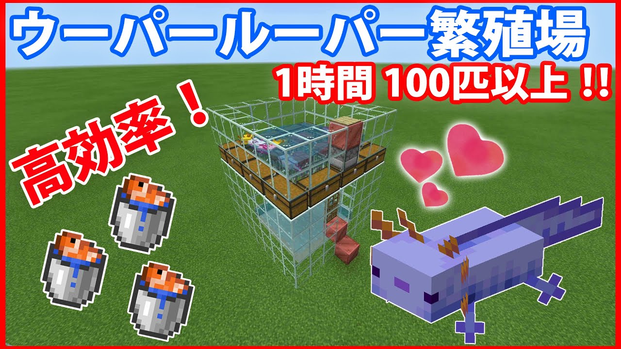 サバイバルとクリエイティブで青色を出した２種類のウーパールーパー繁殖場を紹介します！【Minecraft 統合版 1.17.0】