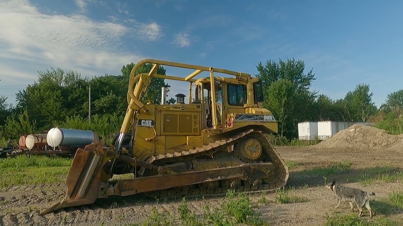 CATERPILLAR D8N START UP AND WALKAROUND