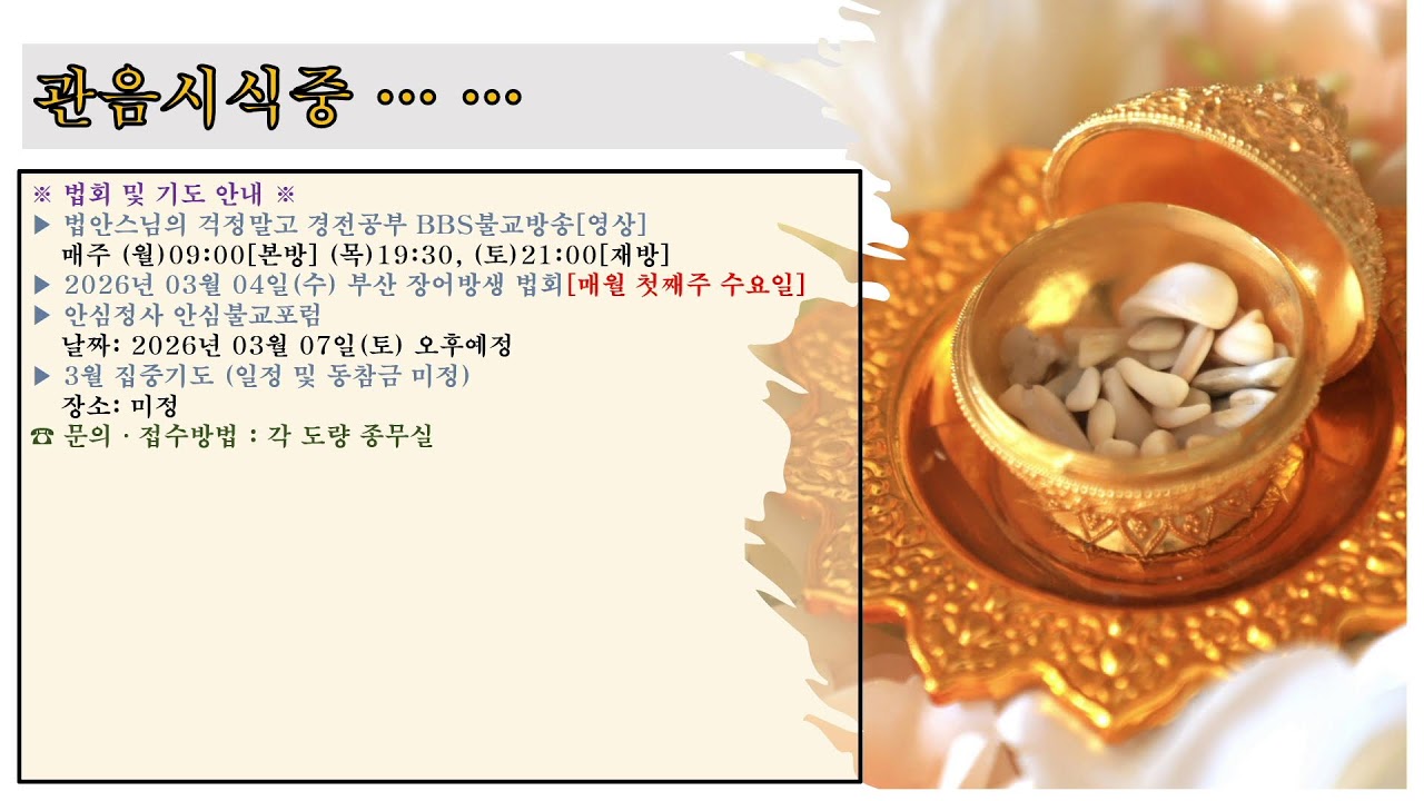불기 2570년 03월 01일 일요 아비달마 법회 #안심정사 #법안스님 #정말잘돼 #할수있어