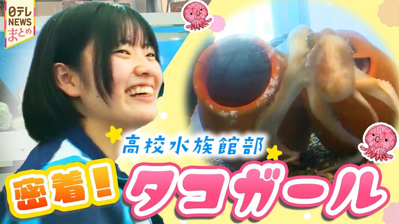【青春物語】学校の中に水族館⁈ タコを魅せられた女子高校生/制限時間内で完成! 高校生が挑む“アートスポーツ”