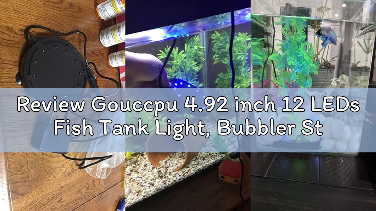 Review Gouccpu 4.92 inch 12 LEDs Fish Tank Light, Bubbler Stone, LED Aquarium Lights, Air Stone Disk