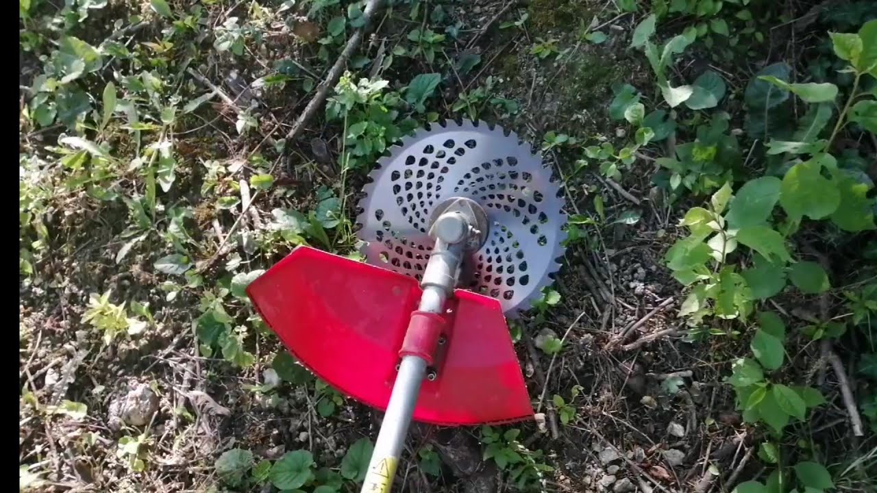 Fűkasza fűrésztárcsával.
