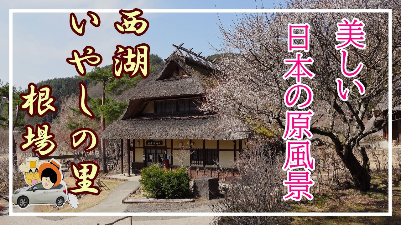 【西湖いやしの里根場】日本の原風景の茅葺集落。それは、かって日本一美しい村だった。天災から生まれ変わった里をじっくり散策。その名「いやしの里」がぴったりで感動必至！特別天然記念物のカモシカにも遭遇！