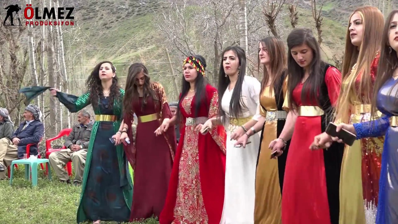 Şiyar Berwari Govend Savaş & Özlem düğünü kurdısh wedding