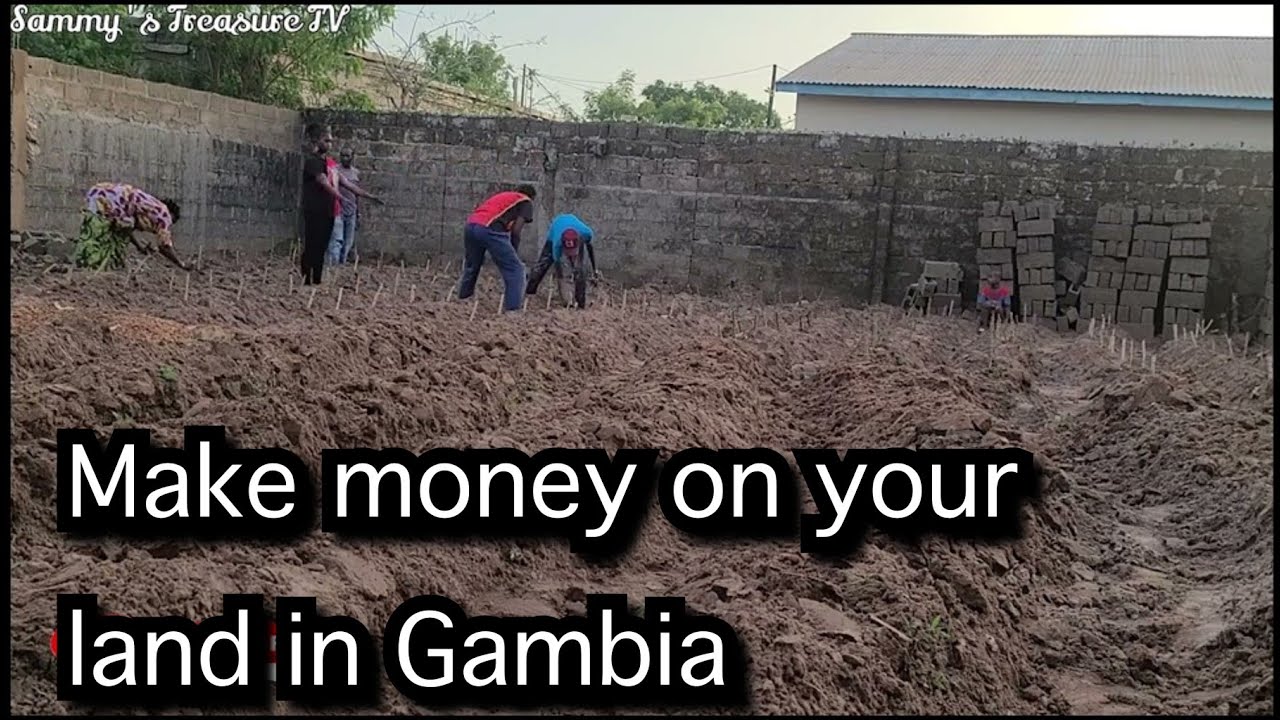 How to make money and secure you empty land in the Gambia