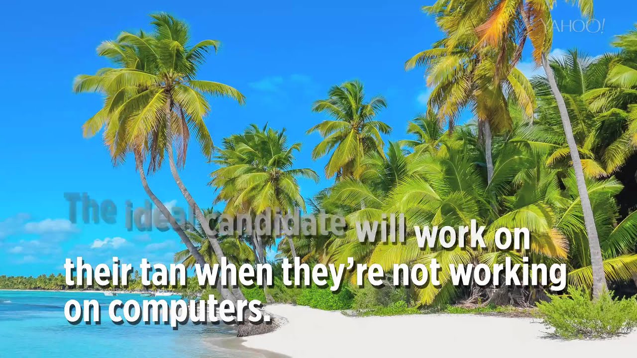 Working in Paradise: 10 Jobs You Can Apply for Right Now