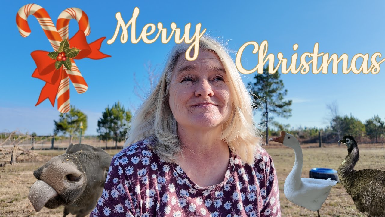 The Real Christmas on the Farm