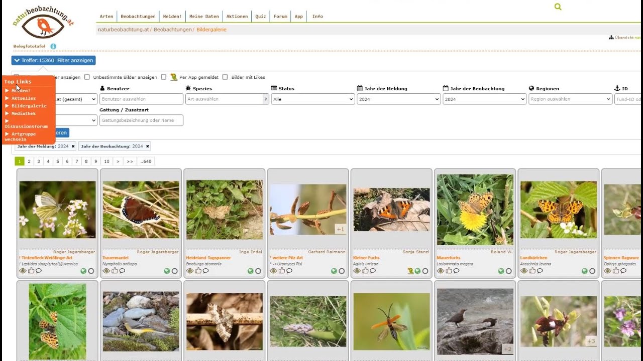 „naturbeobachtung.at – Das erfolgreiche Citizen Science-Projekt des Naturschutzbundes