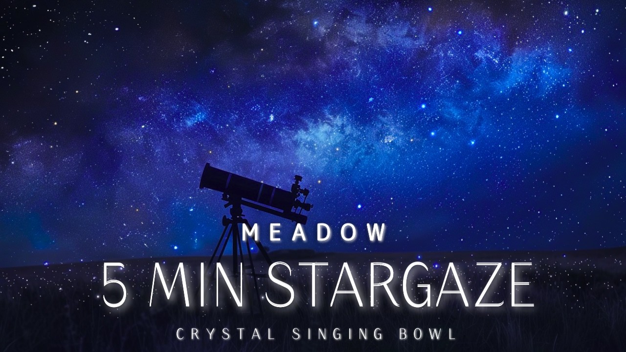 5 Minute Meditation | Stargazing in a Quiet Meadow