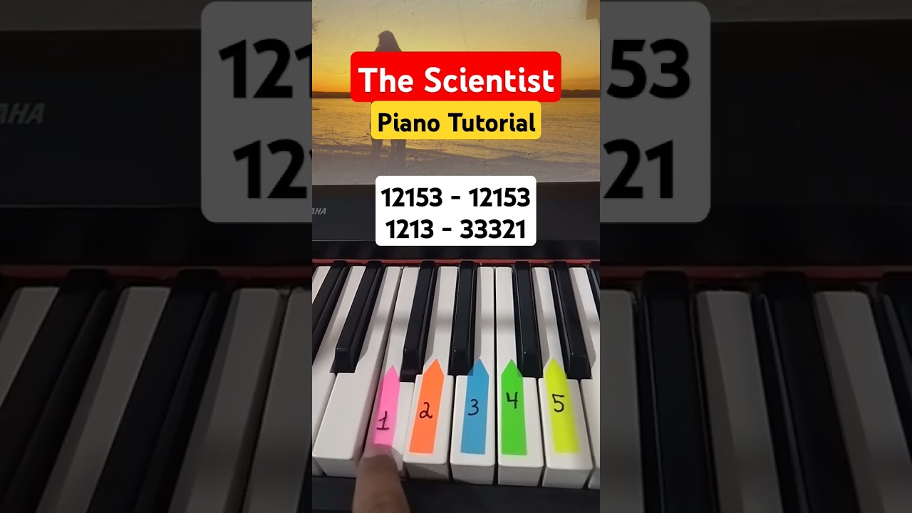The Scientist - Easy Tutorial for Beginners