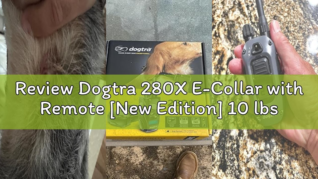 Review Dogtra 280X E-Collar with Remote [New Edition] 10 lbs+, 1/2 Mile Range, LED Light, 100 Levels