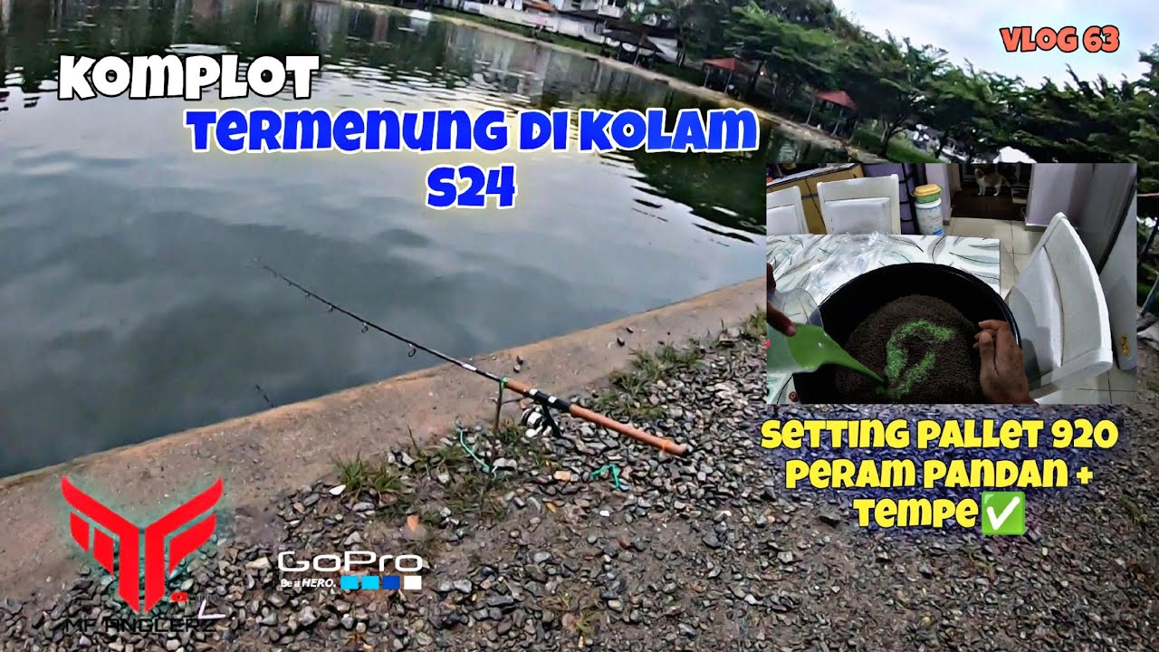 SETTING UMPAN PALLET PERAM 920 PANDAN + TEMPE | KOMPLOT KOLAM SEKSYEN 24 #VLOG63