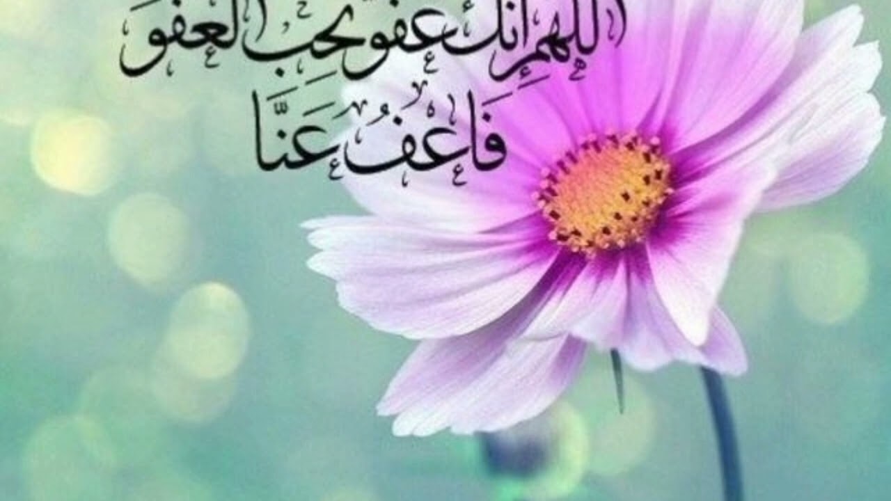 هل تعلم  لماذا قدم الله السمع علي البصر في أغلب الآيات ؟