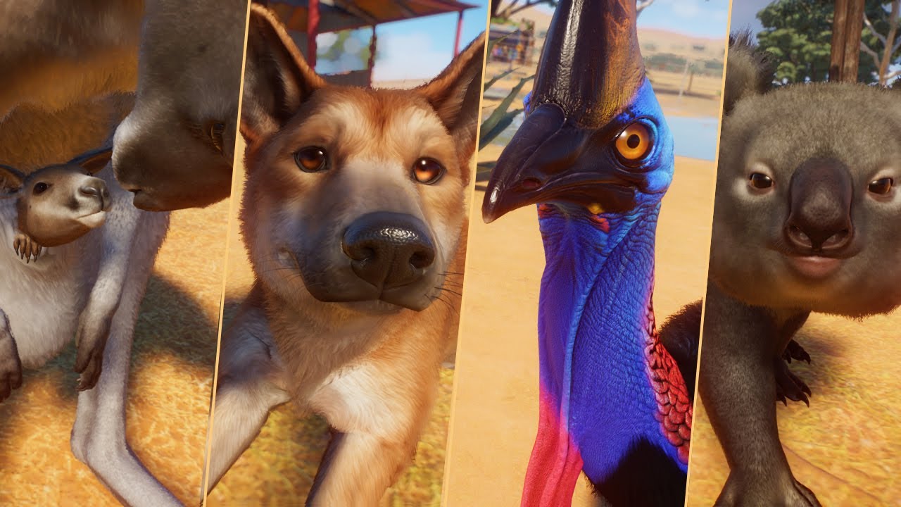 JOEYS IN KANGAROO POUCHES! 🦘 All The NEW Australia Pack Animals & Their Babies