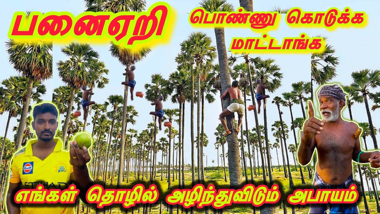பனைஏறி 🥹Our industry will be destroyed❌ எங்கள் தொழில் அழிந்துவிடும்💯