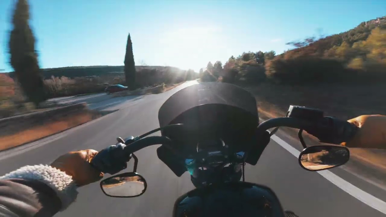 Harley Davidson - Dyna Street Bob POV