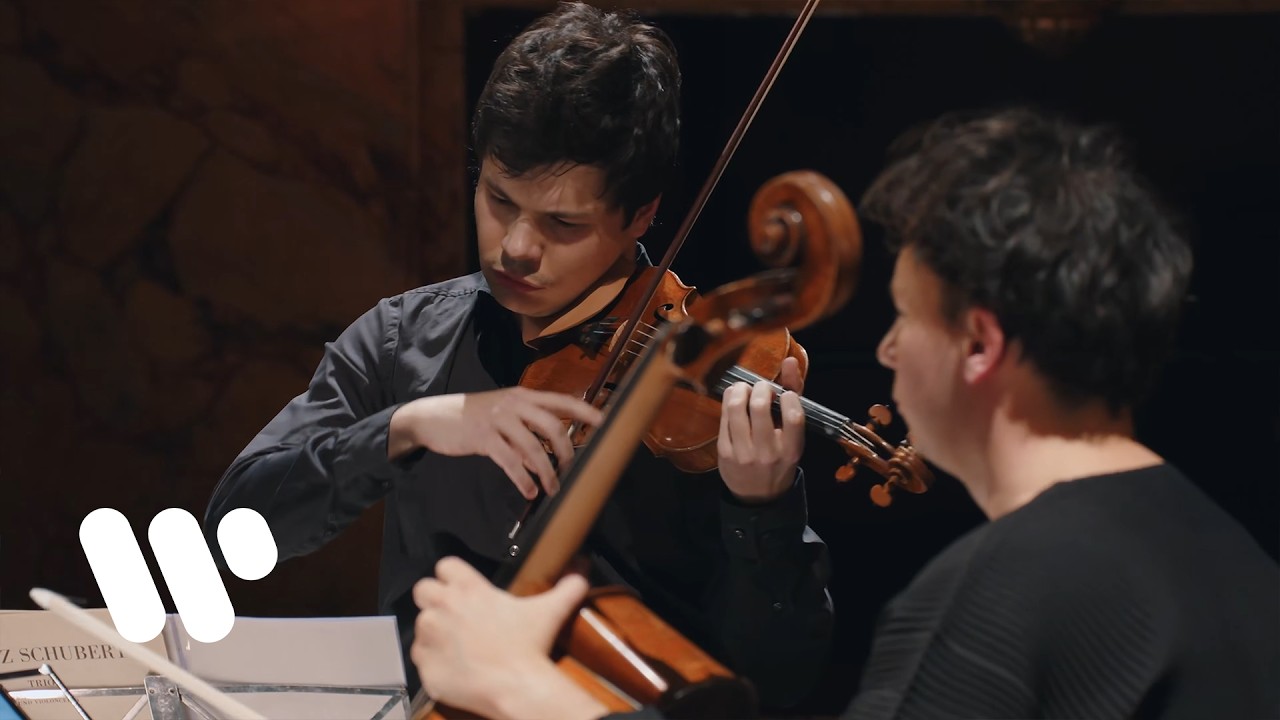 Trio Moreau – Schubert: Piano Trio No. 2 in E-Flat Major, Op. 100, D. 929: II. Andante con moto