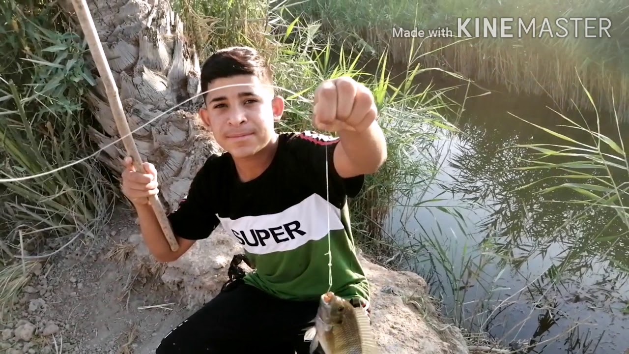 صيد السمك🐟 في السناره أو الشص و تصوير البط🦢🦢