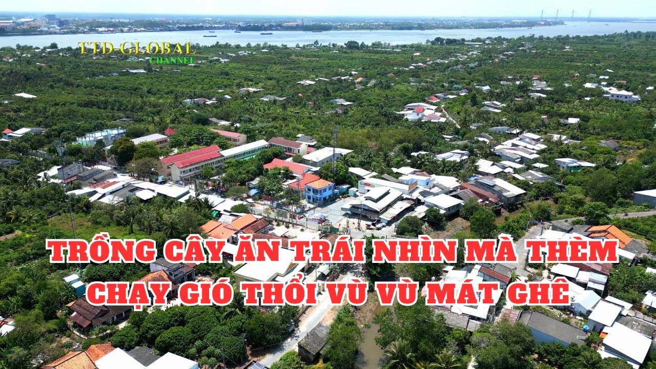 Khám phá Cù Lao An Bình Huyện Long Hồ Tỉnh Vĩnh Long
