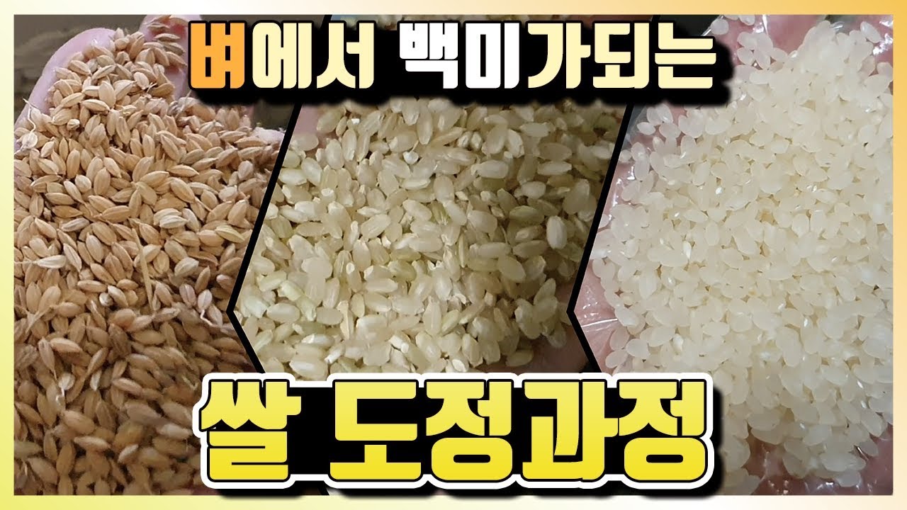 쌀 도정과정