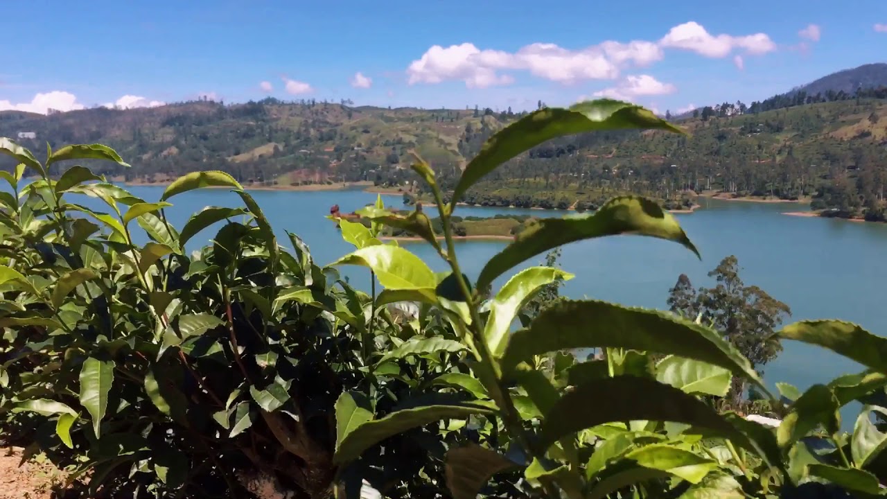 Travel to Moray Water Fall | Traveling Ceylon