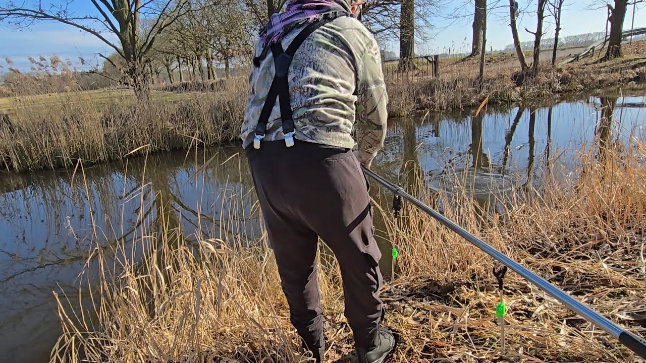 Graben angeln auf Döbel der plan geht auf 57cm Döbel 5kg + #fishing #fishingvideo #angeln 