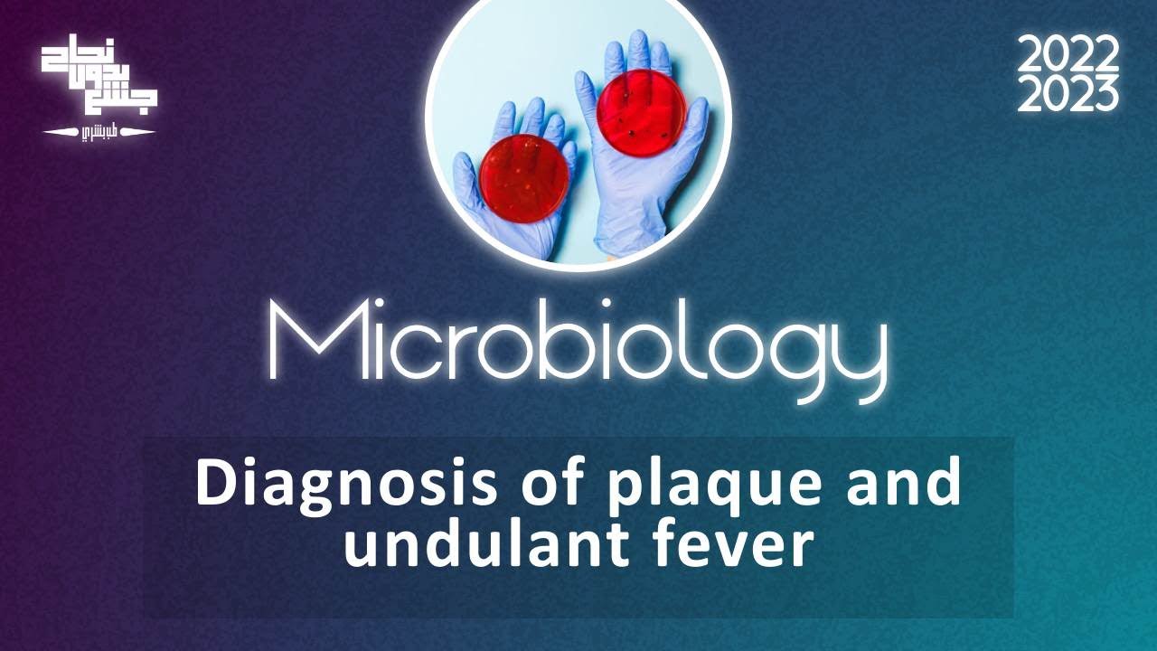 Pract 4, Lab diagnosis of plague & undulant fever , Microbiology