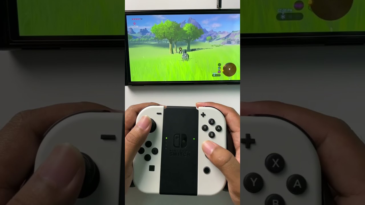 Zelda Breath Of The Wild on Nintendo Switch OLED🔥#zeldabreathofthewild #nintendoswitcholed