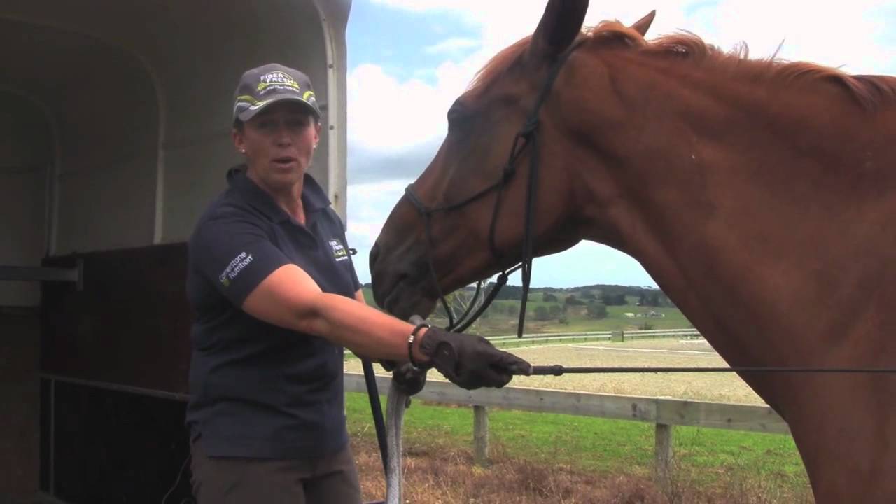 Fiber Fresh Feeds Equine TV: EP 47 - Float Training continued