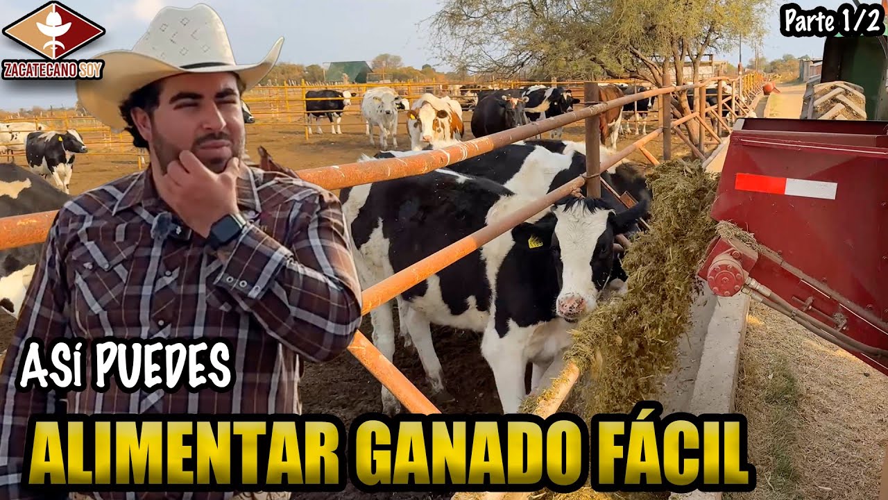 ASÍ DE FÁCIL ES ALIMENTAR VACAS con un carro revolvedor 