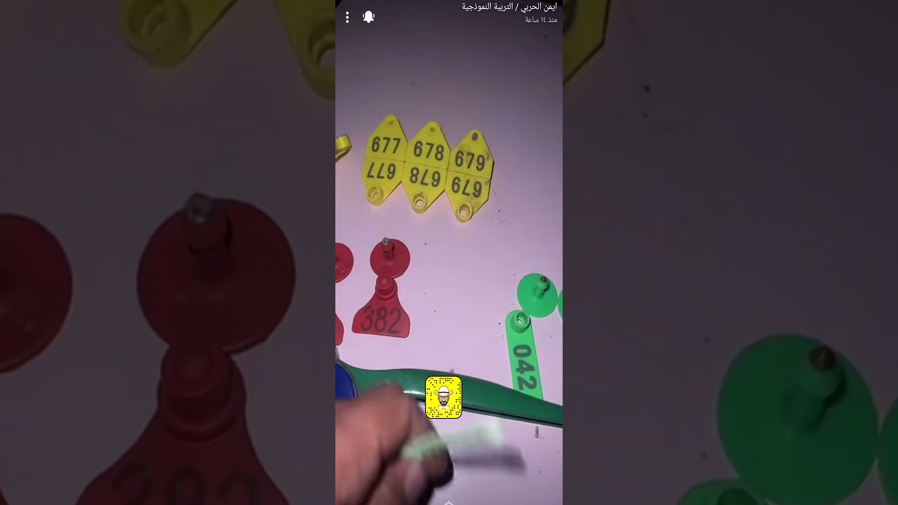 كل التفاصيل عن ارقام الغنم حياكم الله