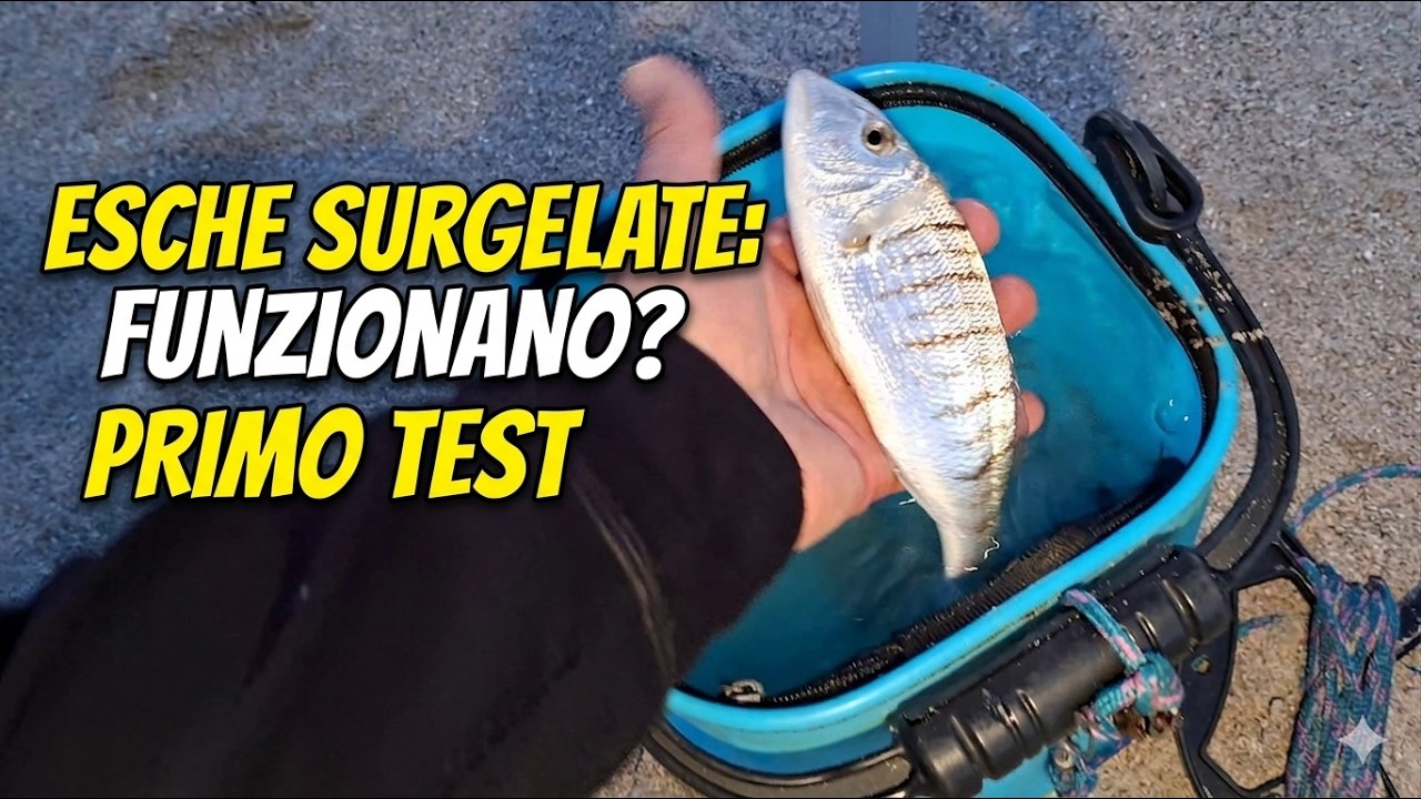 Pesca a fondo in spiaggia con esche surgelate al Poetto | Test reale in inverno e maestralata forte