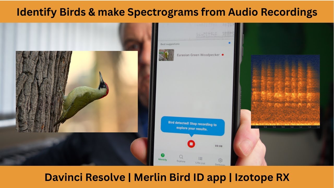 How to Identify, Isolate and make Spectrograms of Birds Sounds from audio recordings