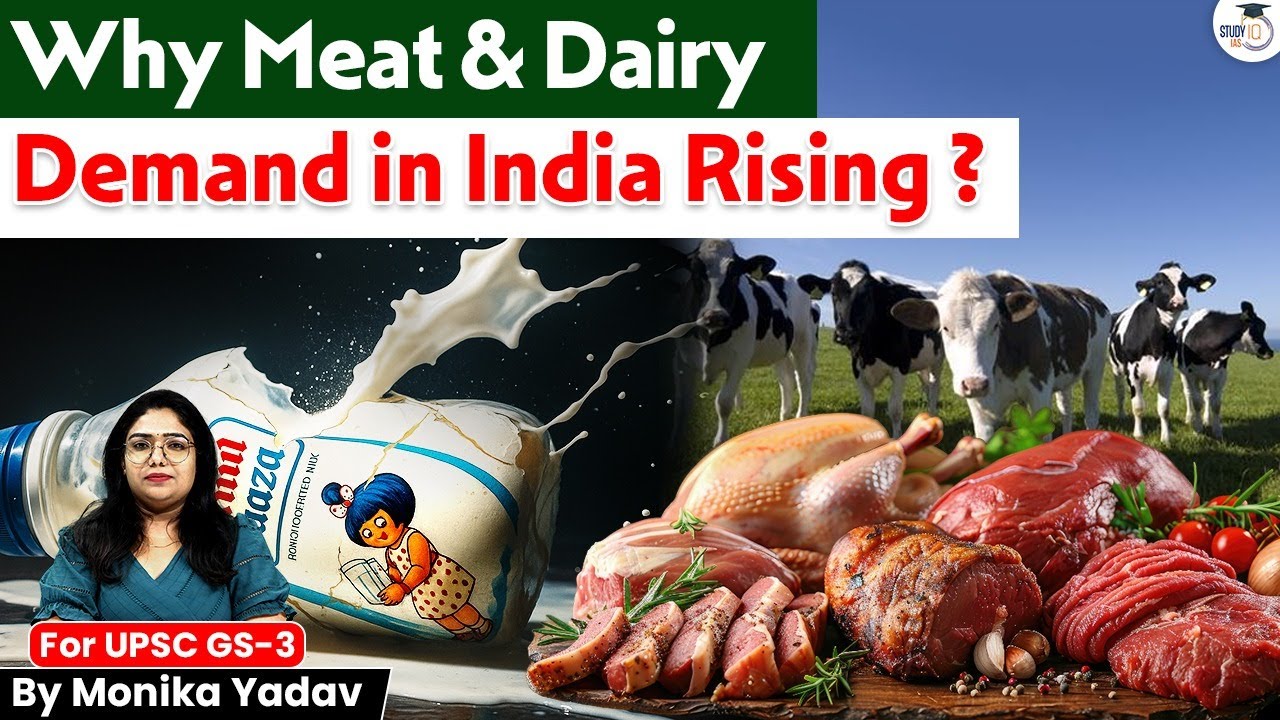 Why India’s Meat & Dairy Demand Is Booming? Changing Food Habits Explained! | STUDYIQ