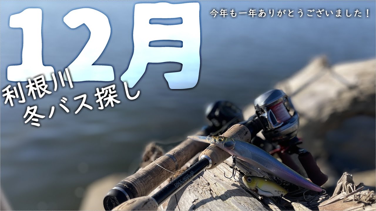 【利根川】12月　いつものやつで釣り納め